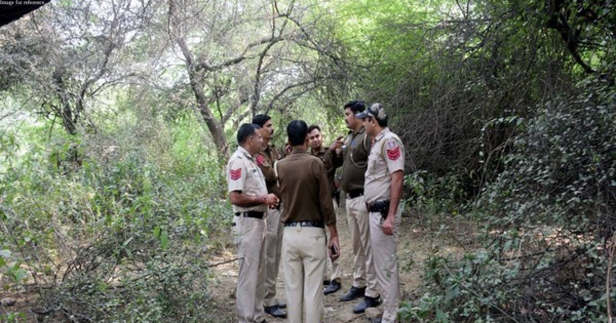 Delhi Police to match Shraddha Walker's DNA samples with chopped head found elsewhere in city